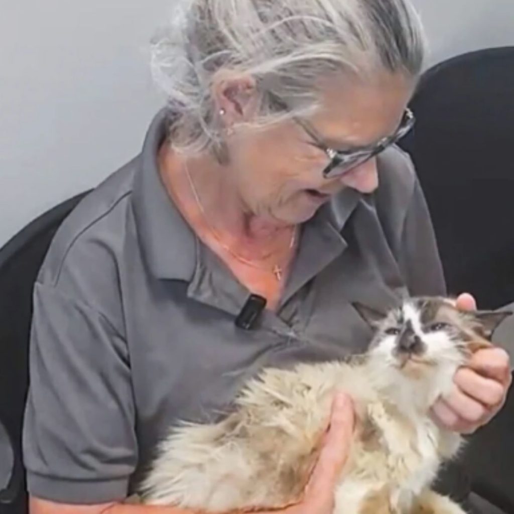 a woman petting a cat