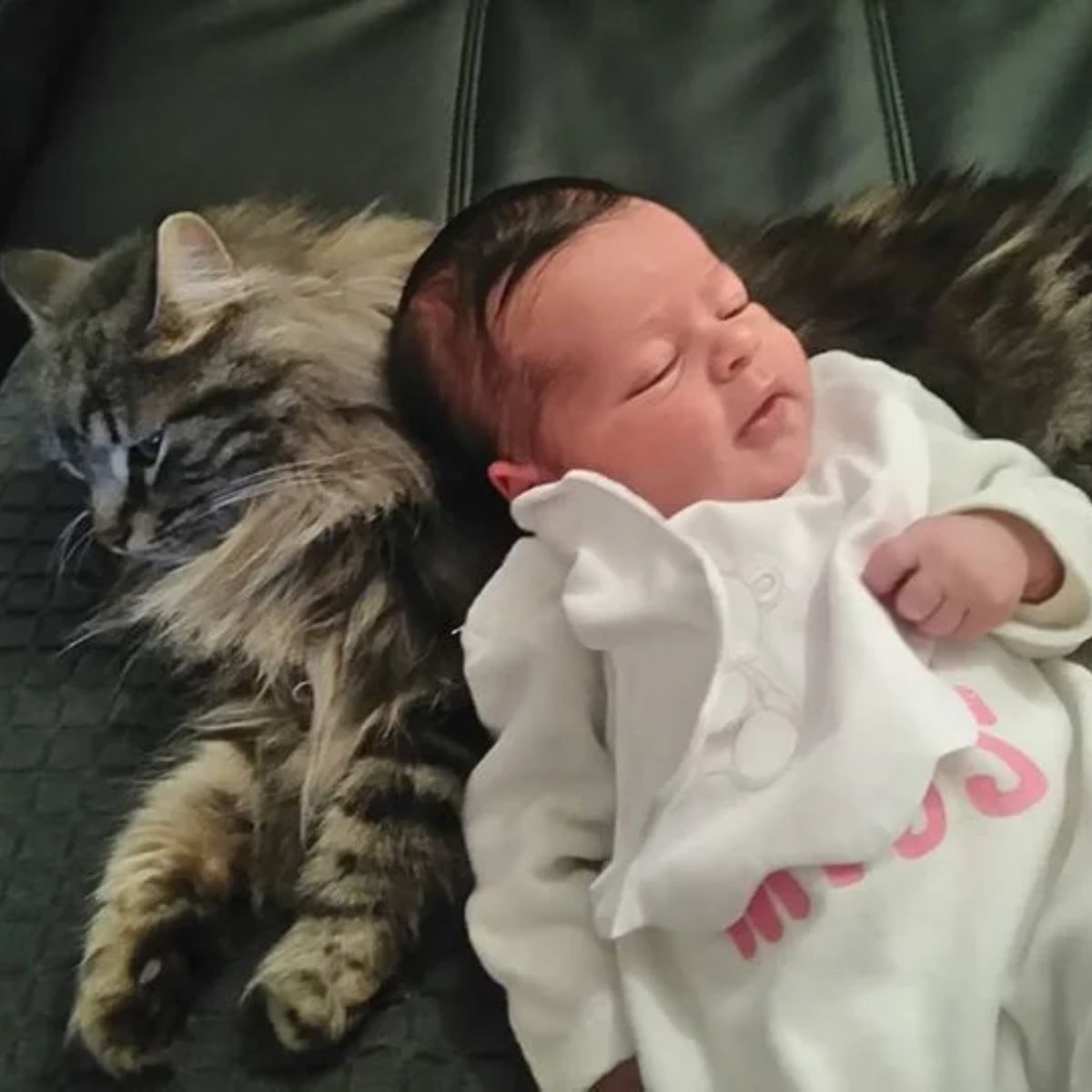 baby lying on a cat