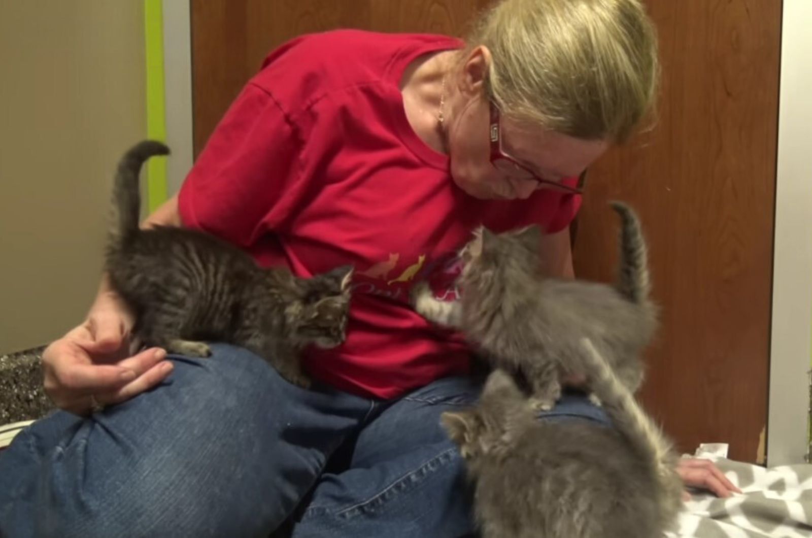 blonde woman and gray kittens