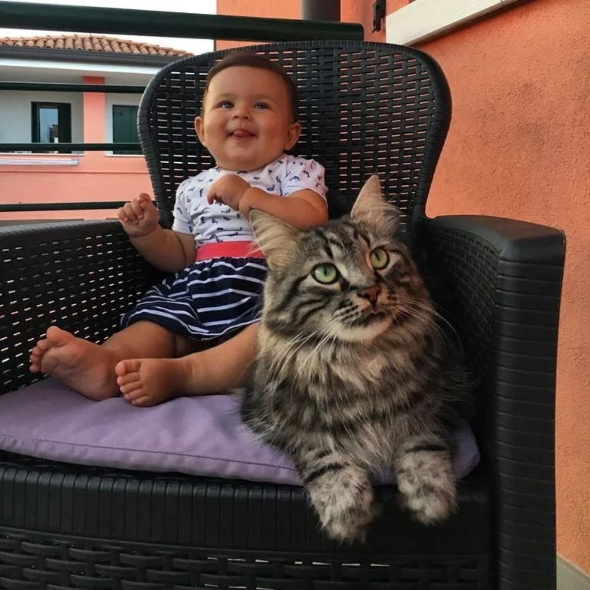 cat and baby sitting in a chair