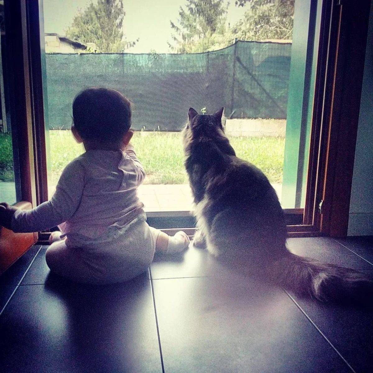 cat and baby sitting together