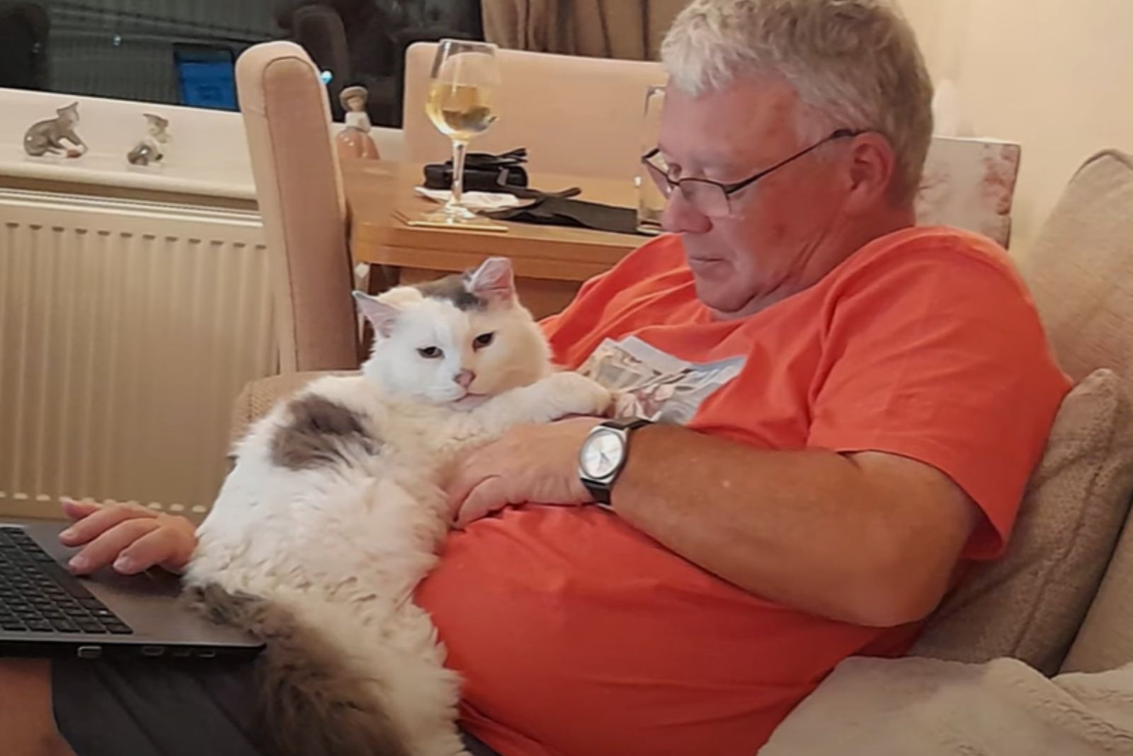 cat lying in mans lap