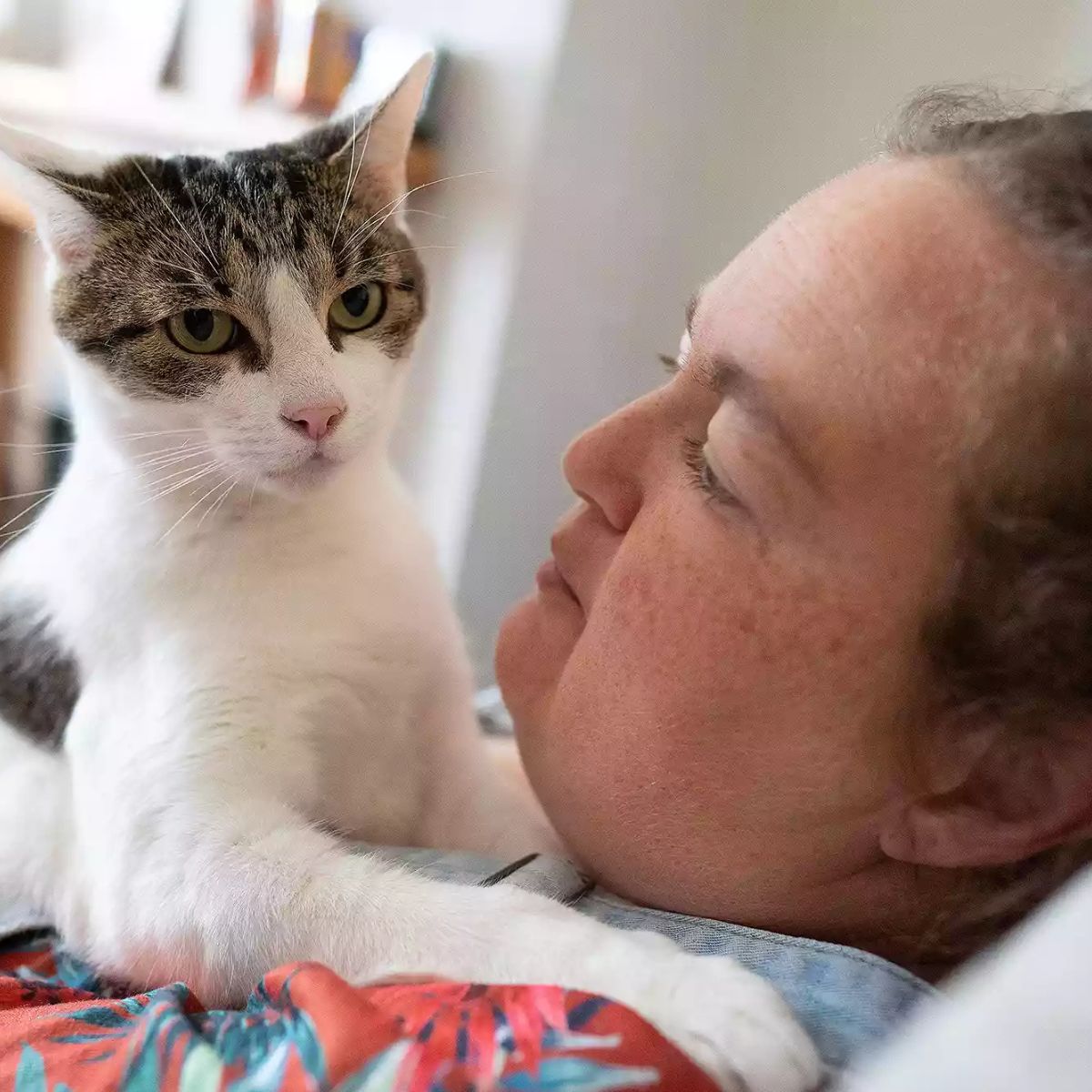 cat on woman's chest