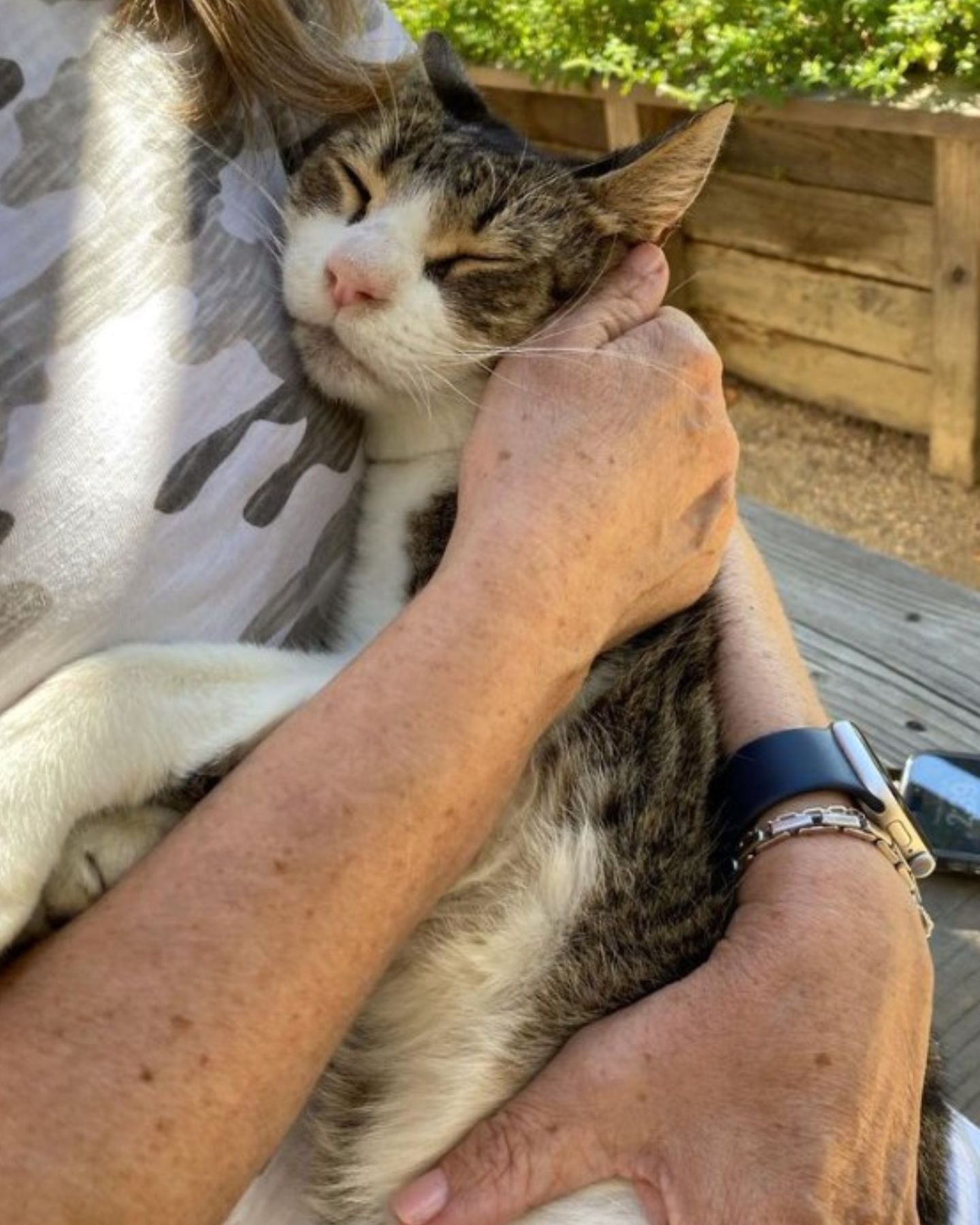 cat sleeping in woman's arms