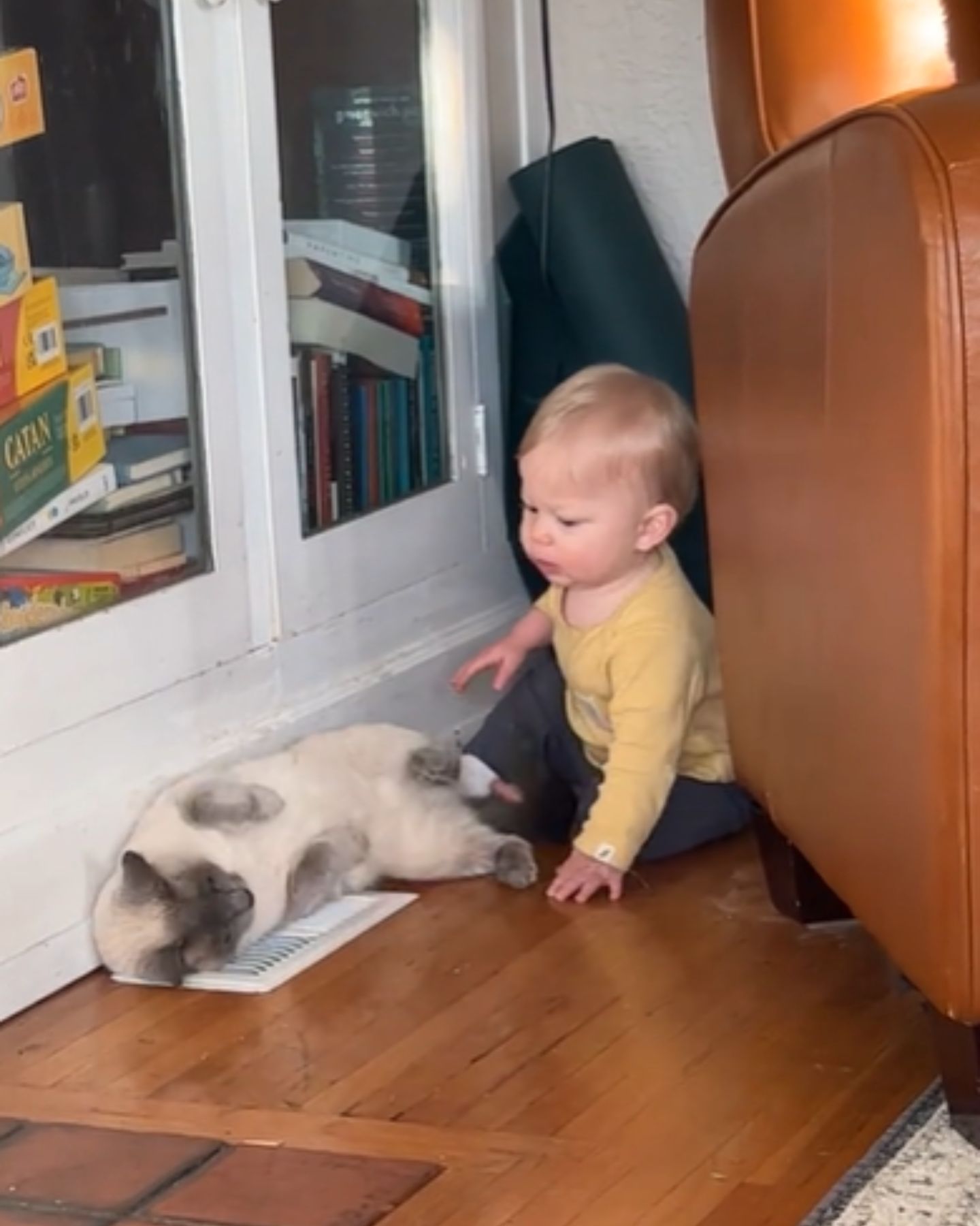 cute baby playing with cat