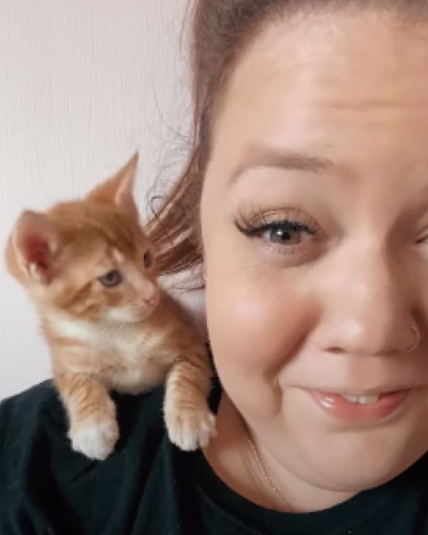 kitten on owners shoulder