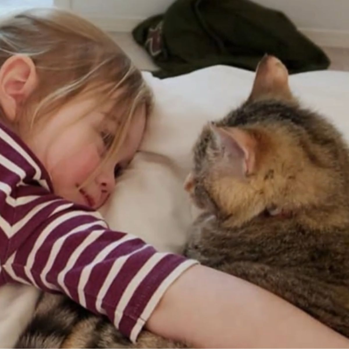 little girl lying with cat