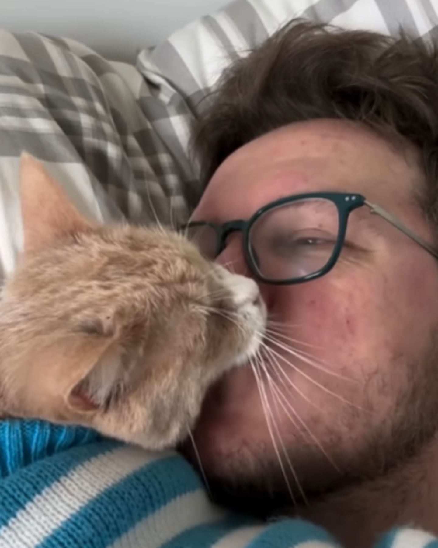 man kissing a kitten