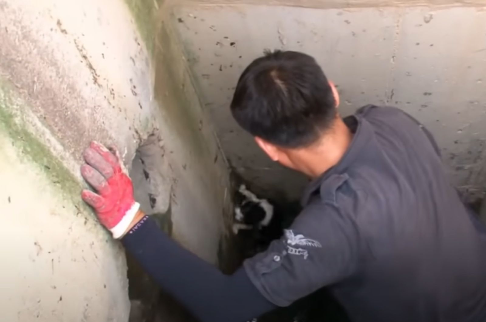 man saving a cat in sewer