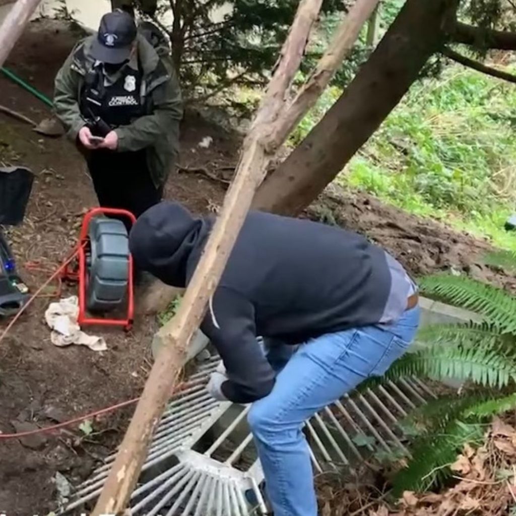 men try to save the cat