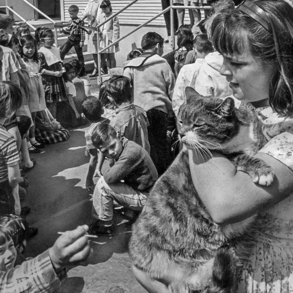 old photo of girl holding a cat