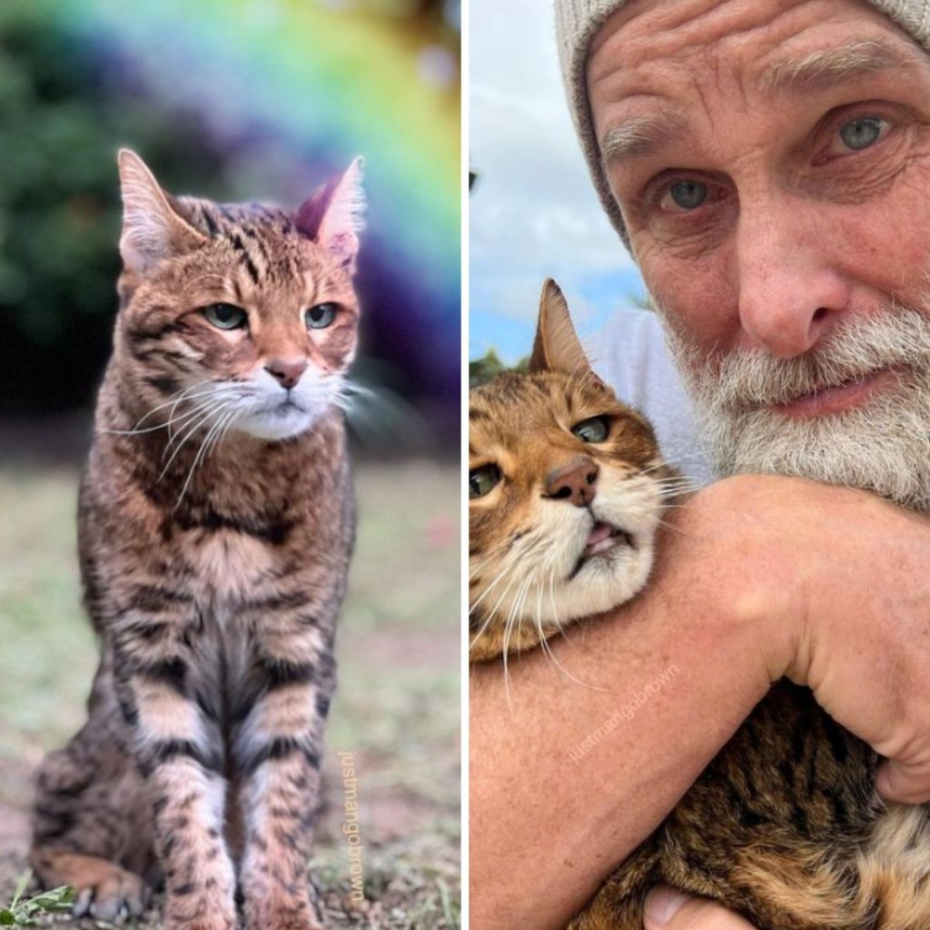 portrait of a cat and a man