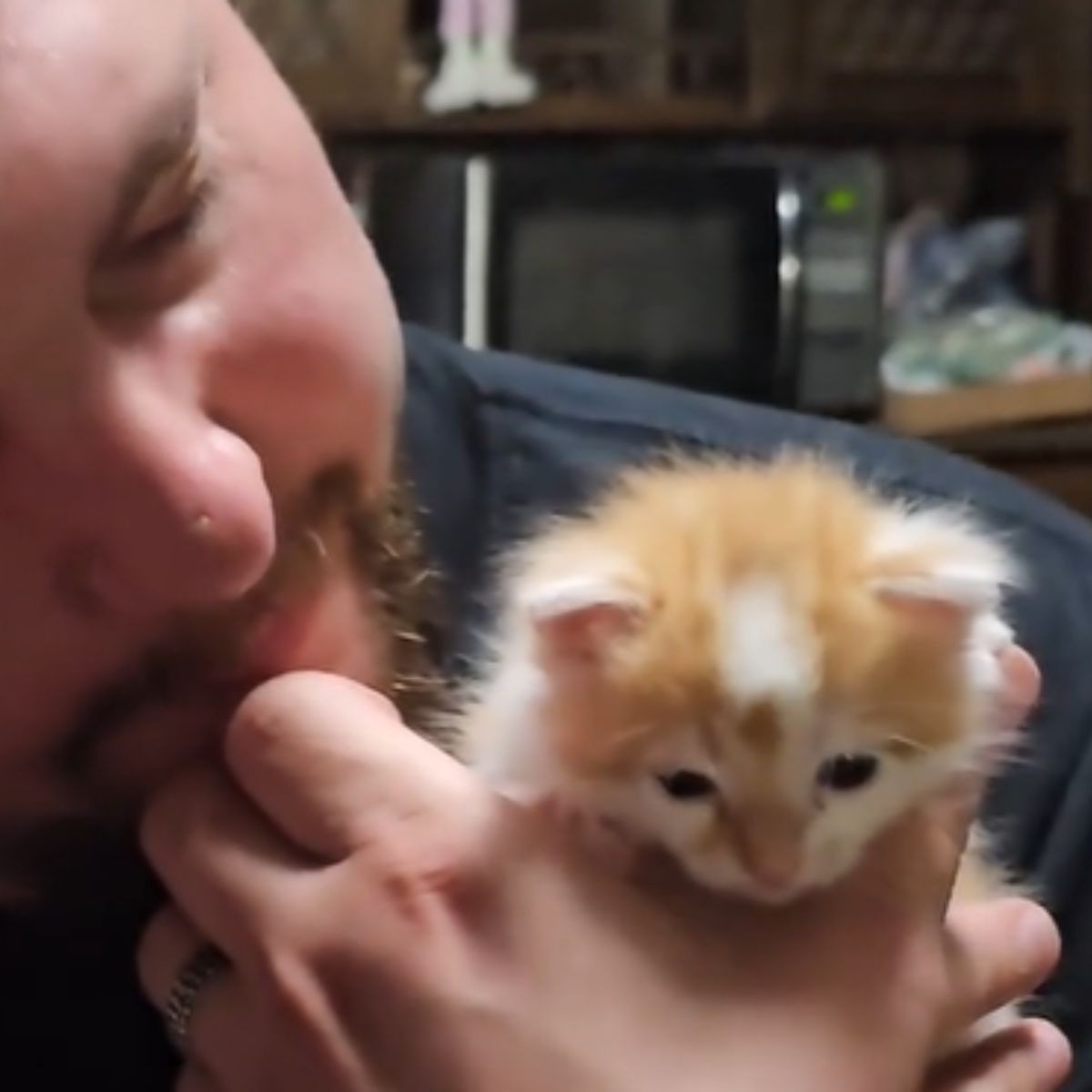 smiling man holding cute kitten