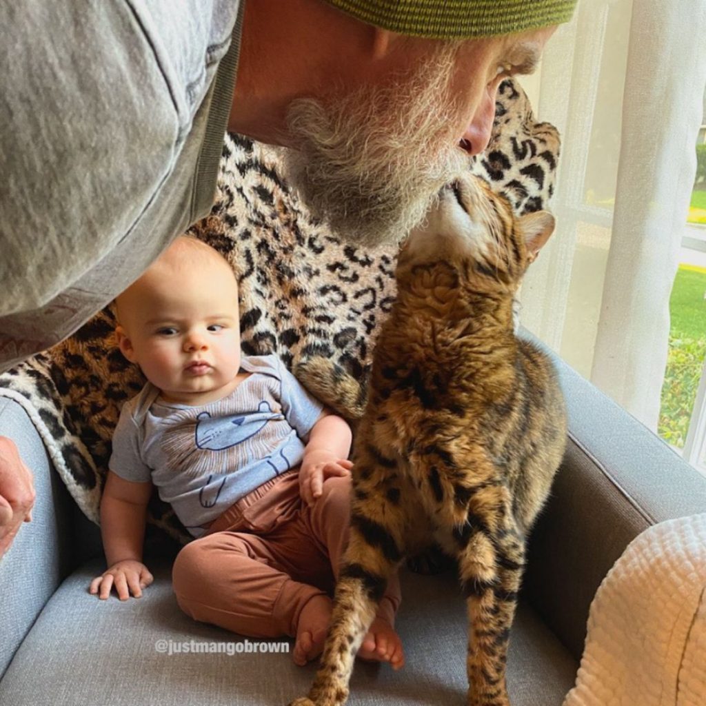 the cat sits next to the child while the man kisses her