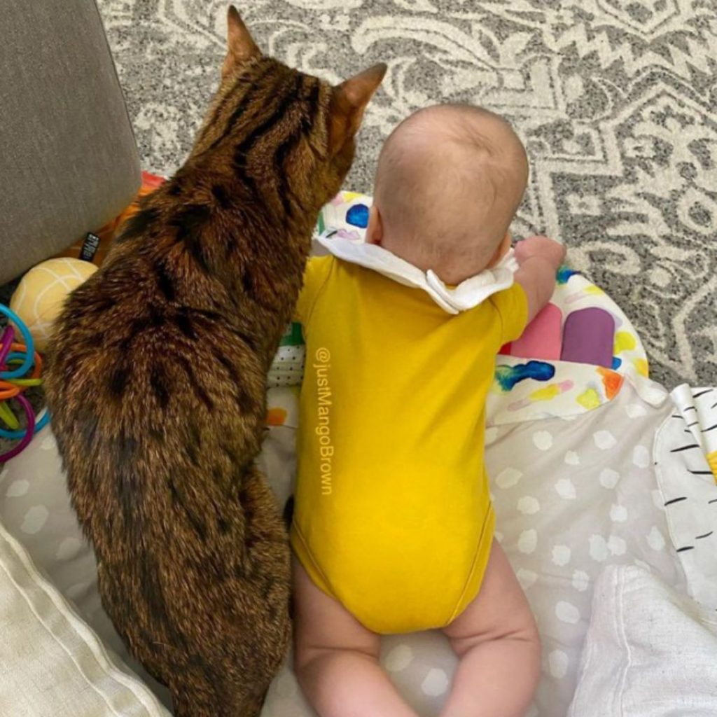 the child is lying on his stomach, the cat is next to him