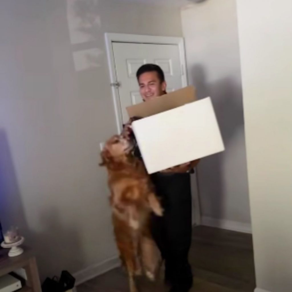 the dog stands on its hind legs to see what's in the package