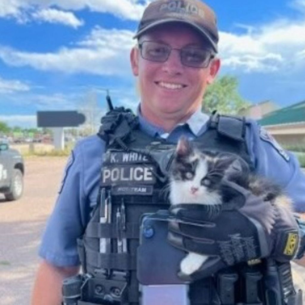 the policeman is holding a kitten in his arms