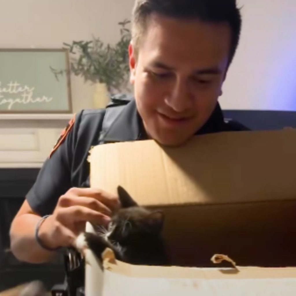 the policeman looks at the cat in the package