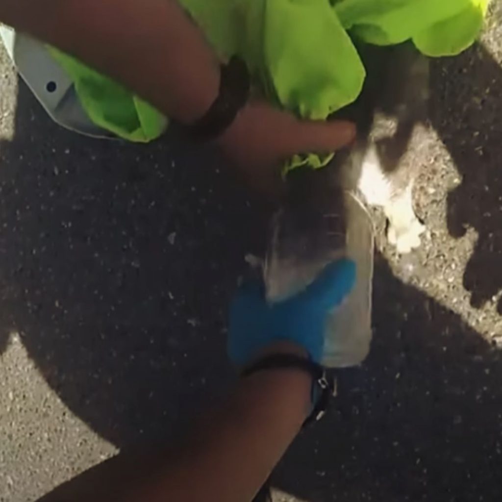 the policeman removes the bottle from the cat's head