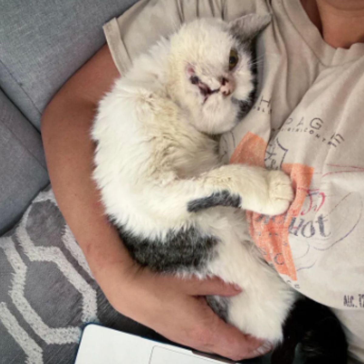 woman holding cat in arms