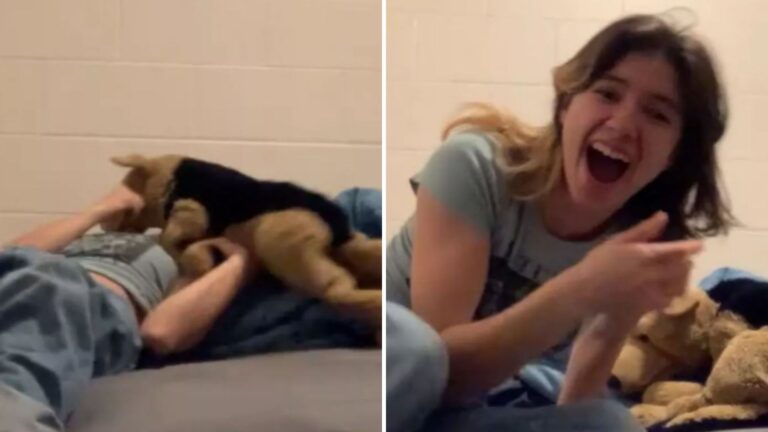 Texas Woman Tests If Her Cat Would Protect Her In ‘Attack’ And The Result Blows Her Away