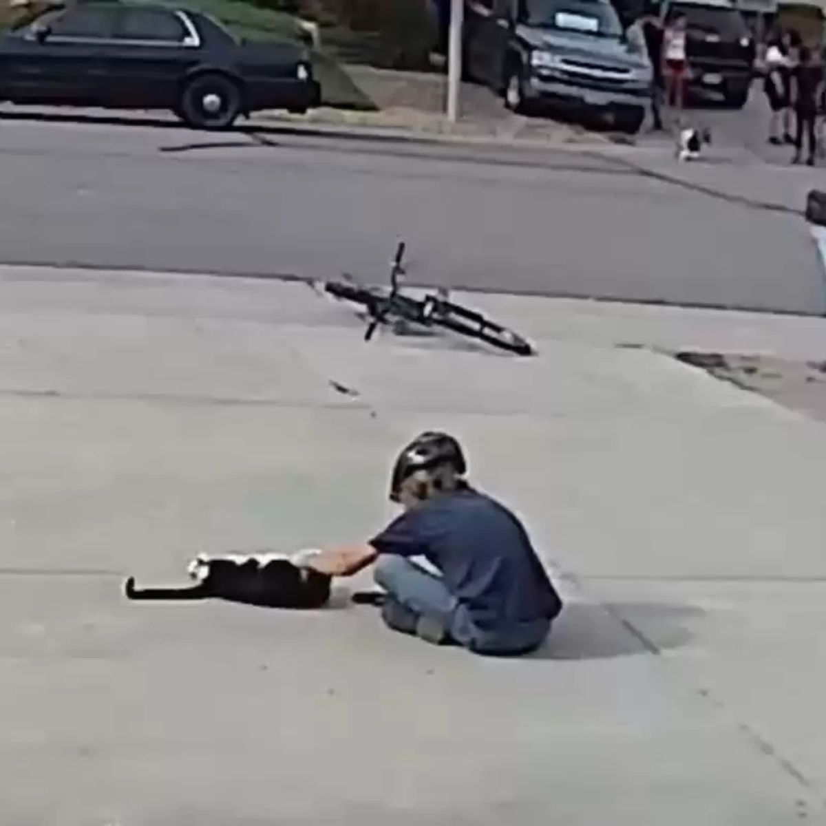 young boy on the street touching cat