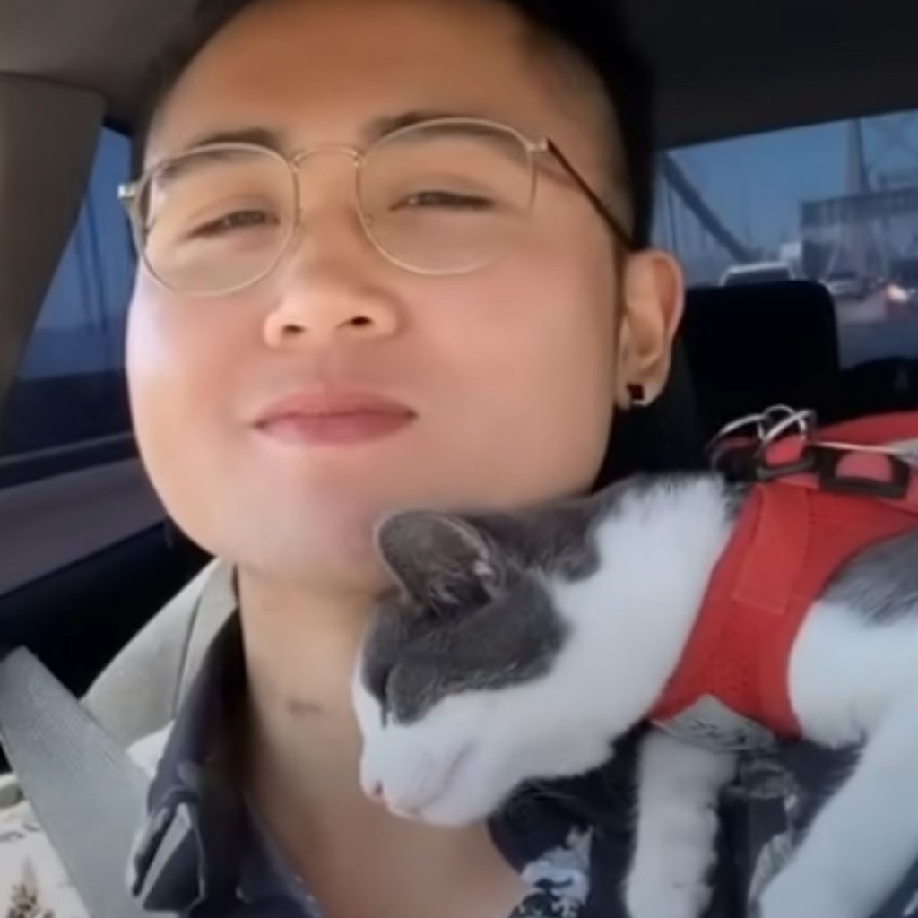 A kitten cuddles on a man's shoulder