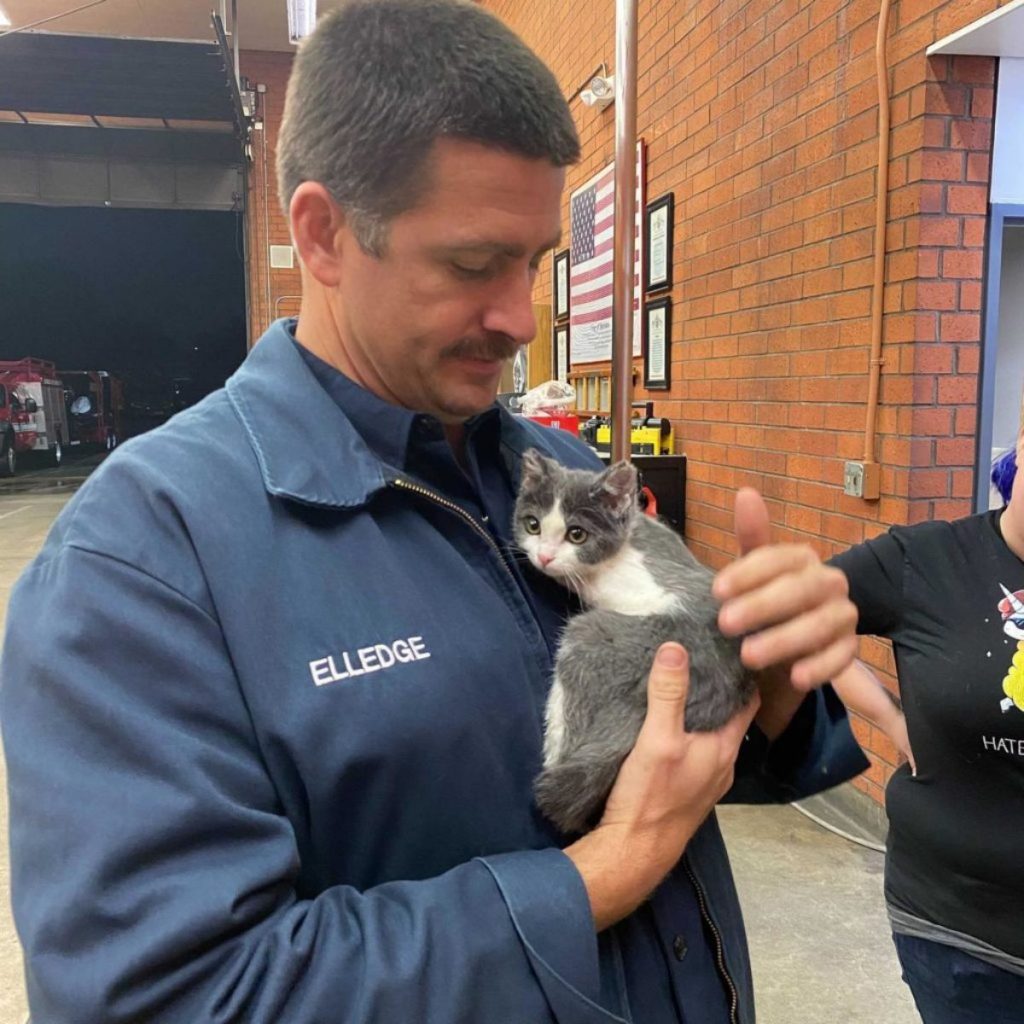 A man is petting a kitten in his arms.