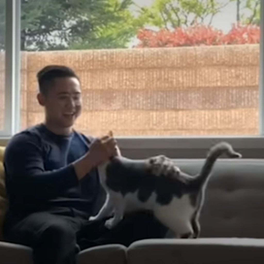 A man sits on a couch and plays with a cat.