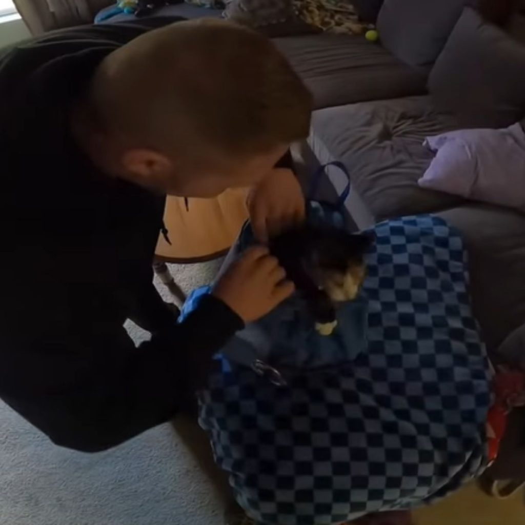 A man takes off a cat's belt