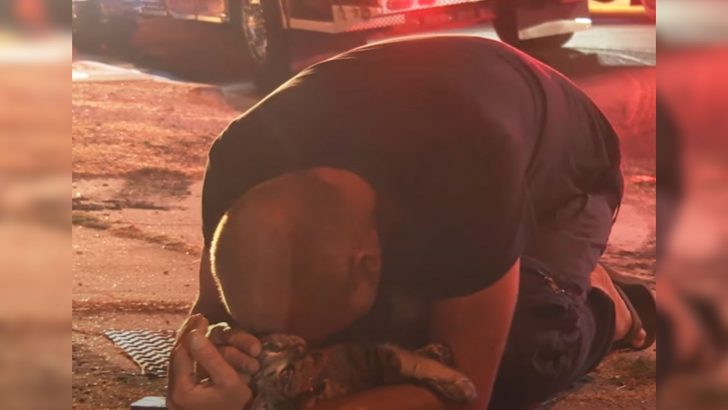 California Man Falls On His Knees Once Firefighter Pulls Out His Cat From A Burning House