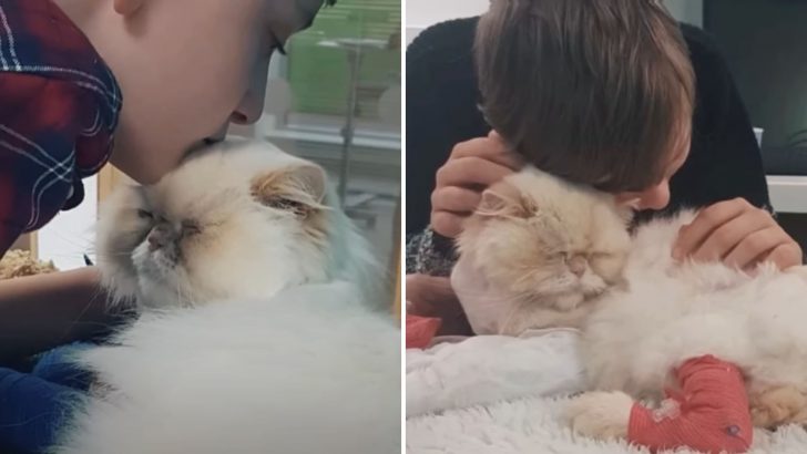 Injured Cat Sees A Special Needs Boy Breaking Down In Tears And Does The Impossible