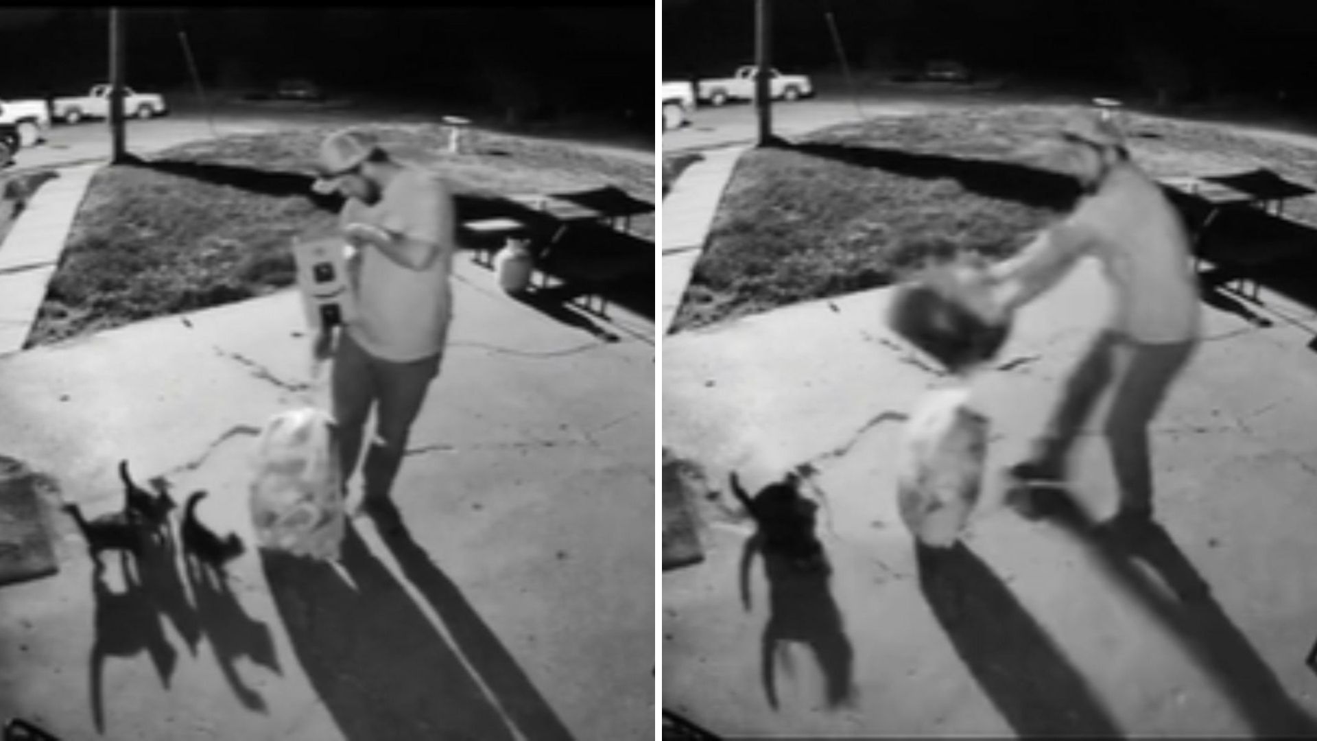 Kansas Man Finds A Mysterious Box In His Yard And Is Startled By What Springs Out