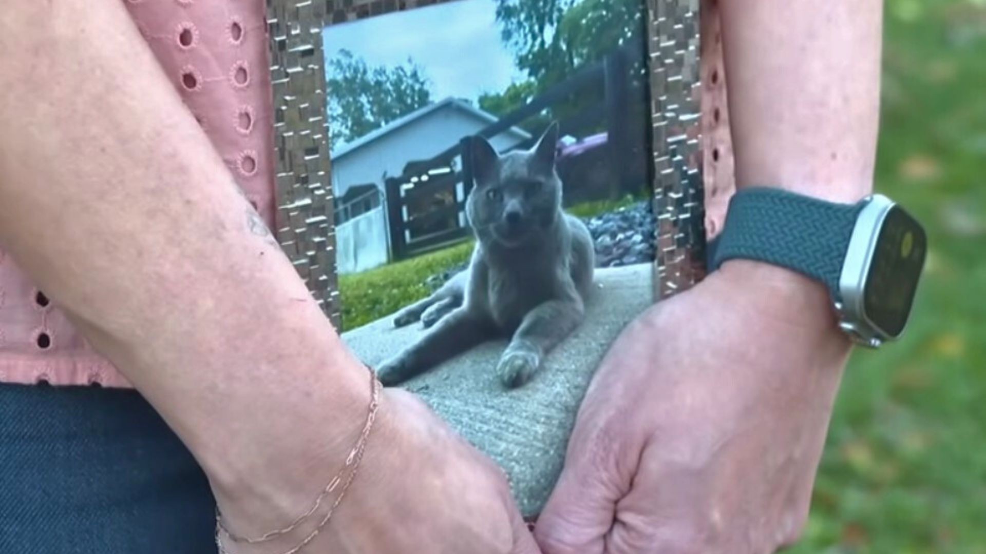 a man holds a picture with cat on it