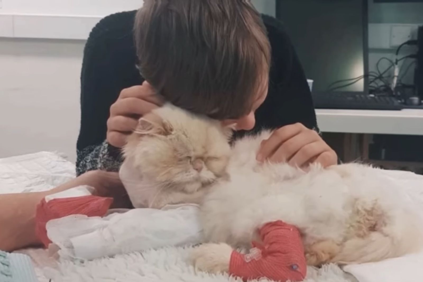 a boy snuggling with injured cat