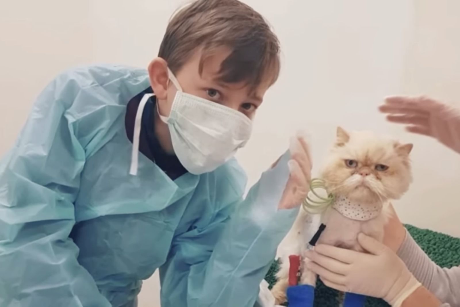 a boy with cat in vet hospital