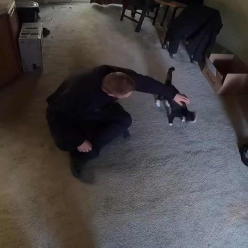 a man petting a black and white cat