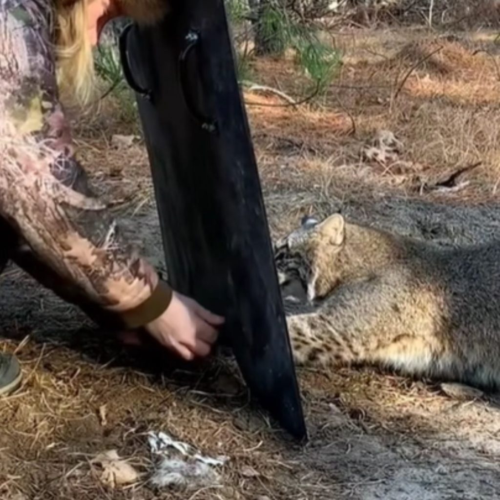 a wild lynx attacks a woman behind a black armor