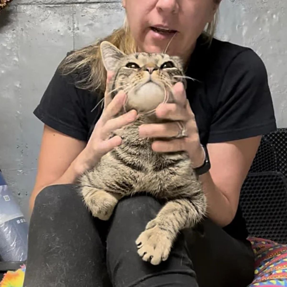 blonde woman and cute cat