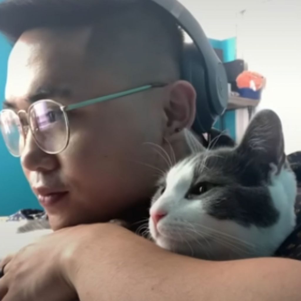 cat and man enjoy hugging