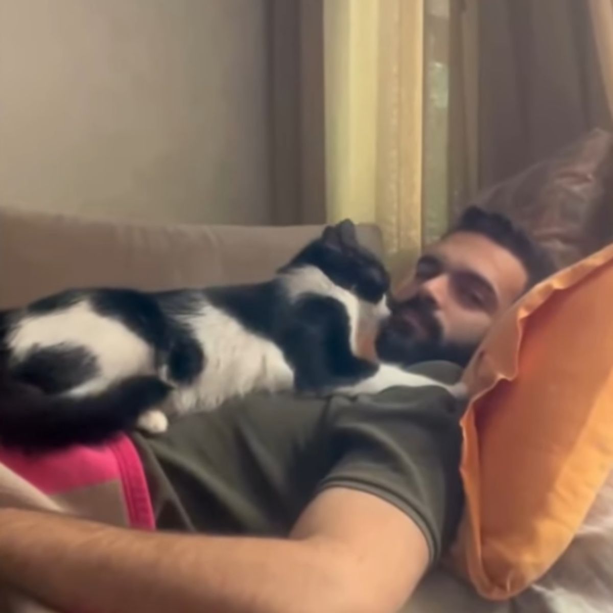 cat lying on man's chest