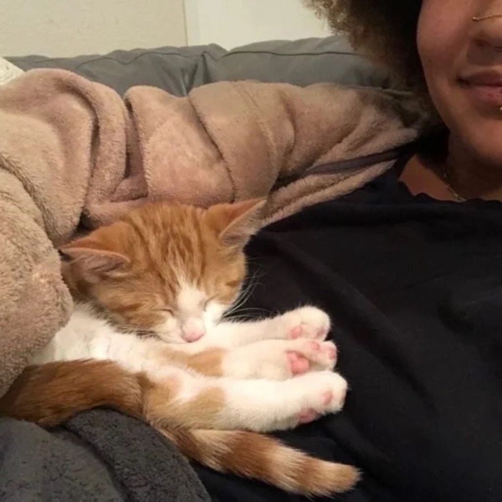 cat sleeping on woman's chest