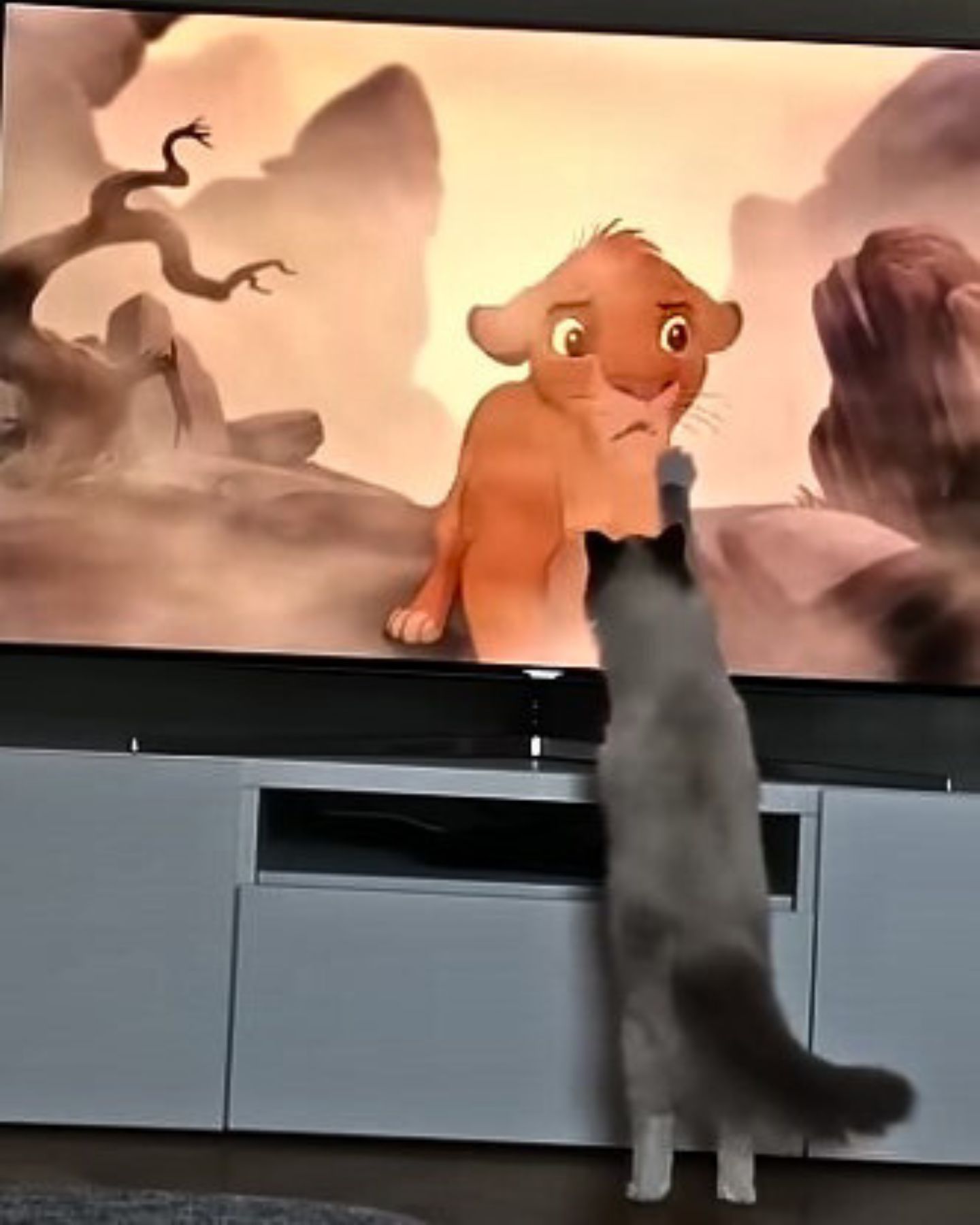 cat standing on two legs while watching the lion king