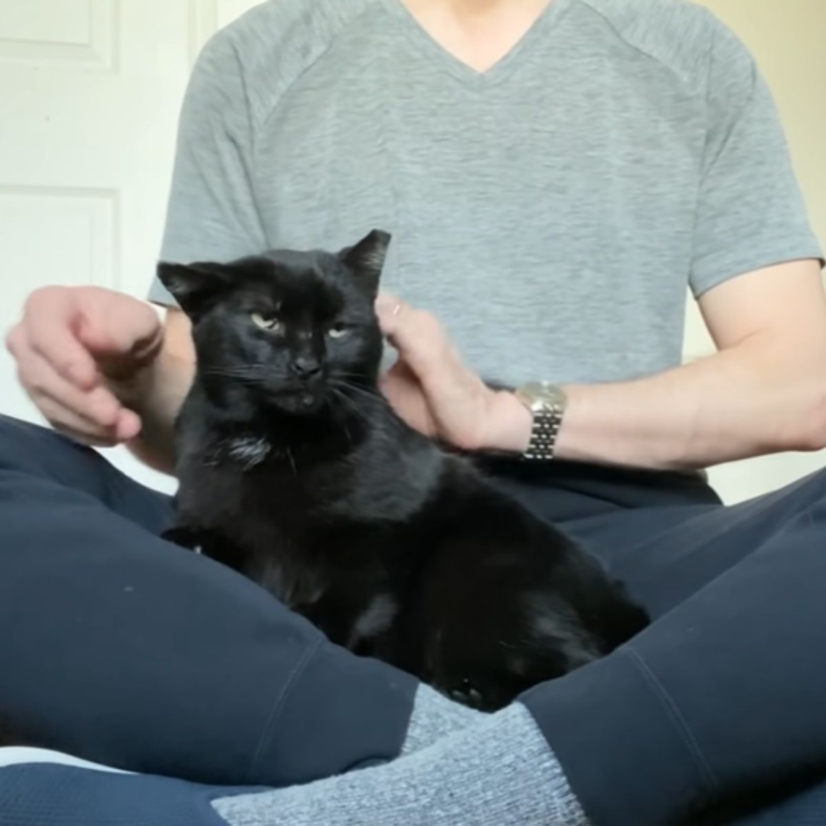 female petting the cat