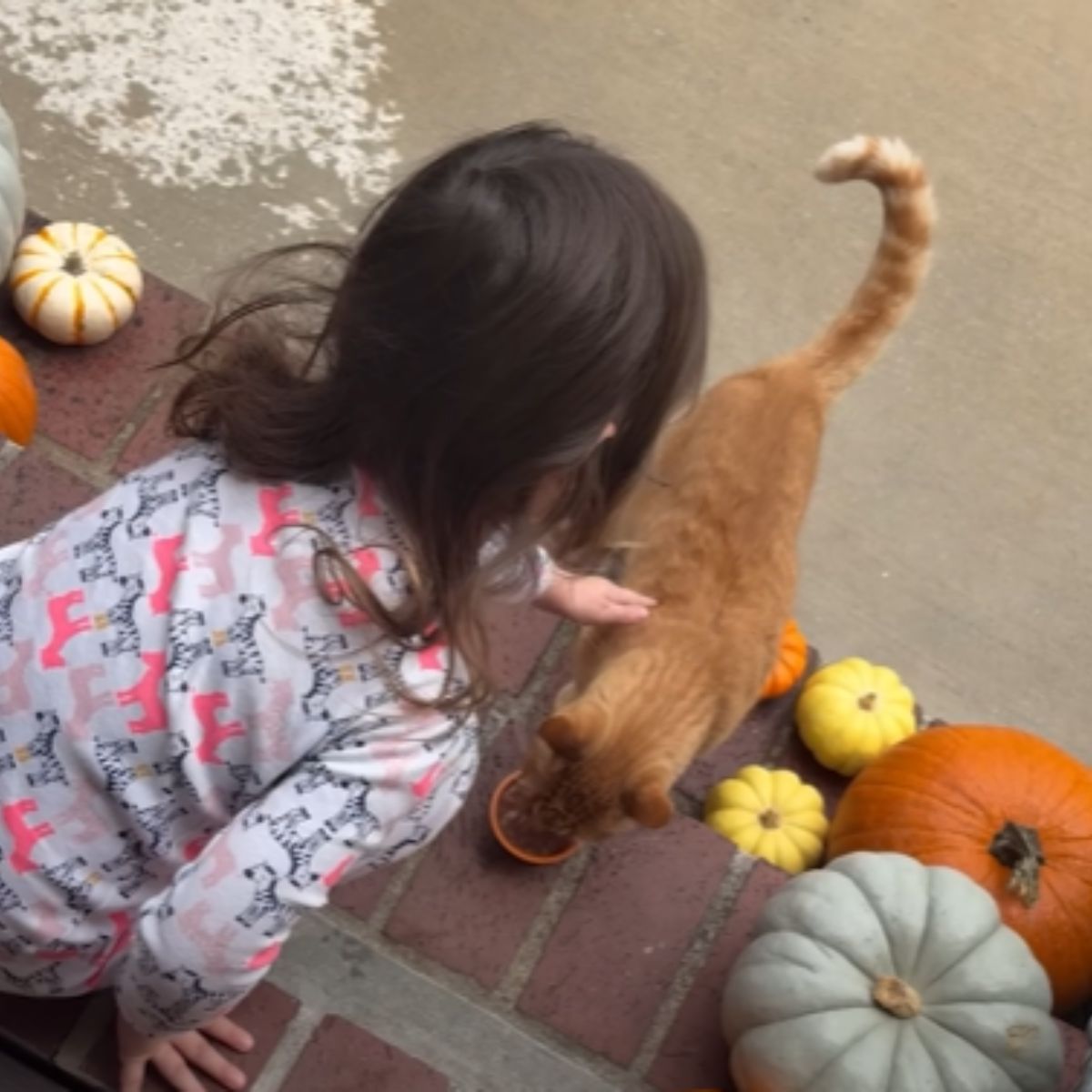 girl petting the cat