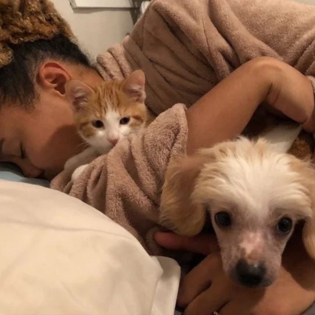 kitten and dog sleeping in a girl's arms