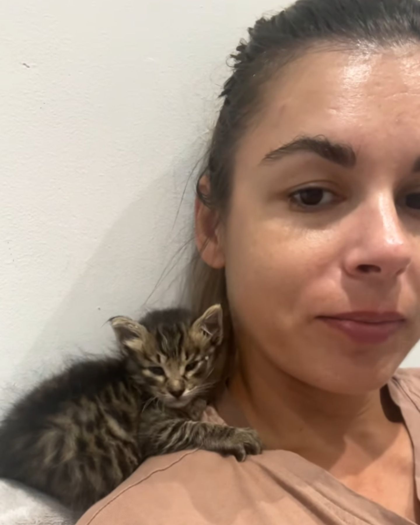 kitten lying on womans shoulder