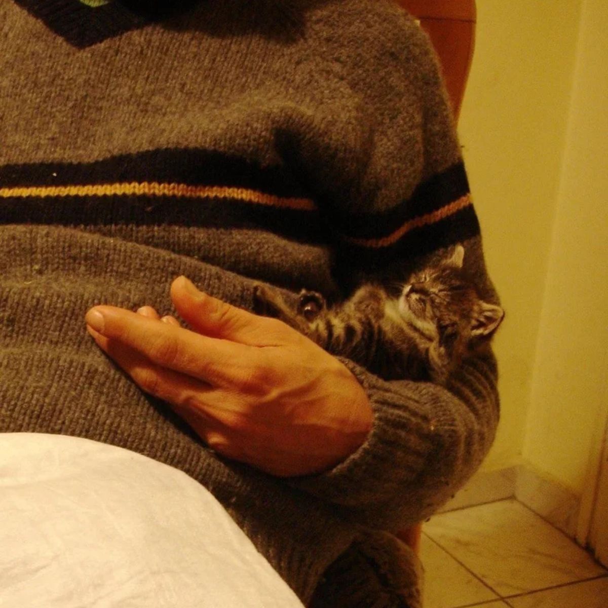 kitten sleeping in man's arms