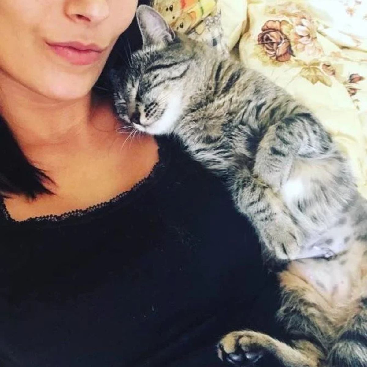 kitten sleeping next to a woman