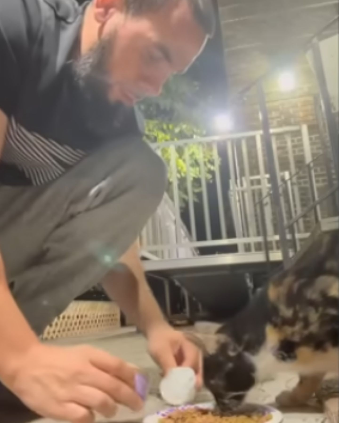 man feeding stray cat